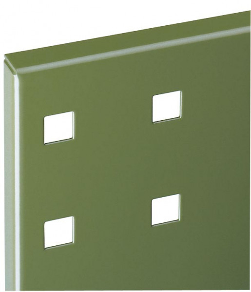 RasterPlan Lochplatte RAL 6011, 1.000 x 450 mm.