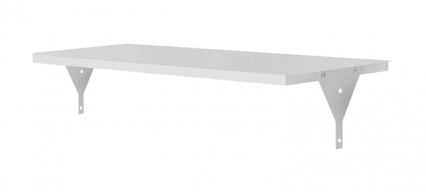 Ablageboden RAL 7035 995 x 500 x 30 mm mit Winkel.